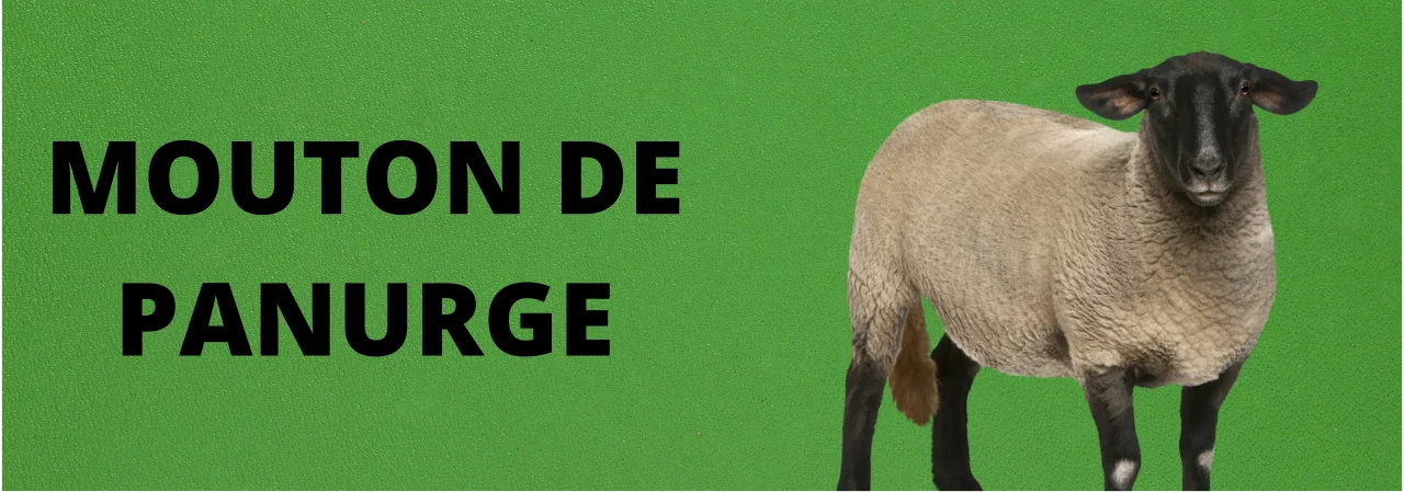 « Mouton de panurge » Que signifie cette expression française